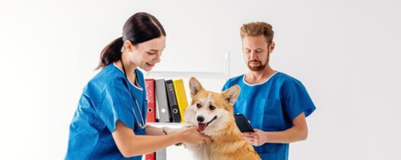 Pet Land Veterinary Clinic - Mirdif